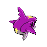 sharpedo