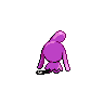wynaut