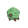 shelgon