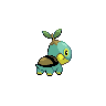 turtwig