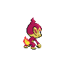 chimchar