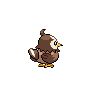 starly