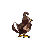 staravia