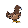 staraptor