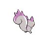 pachirisu