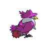 honchkrow