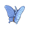 venomoth
