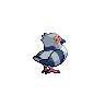 pidove
