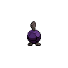 roggenrola