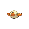 cottonee