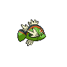 basculin-red-striped