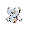 cinccino
