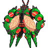 buzzwole
