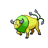 tauros