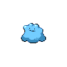 ditto