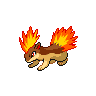 quilava