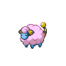 mareep