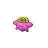 skiploom