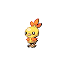 torchic