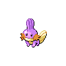 mudkip