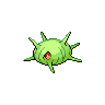 cascoon