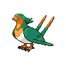 swellow