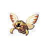 ninjask