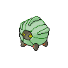 shelgon