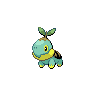turtwig