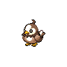 starly