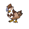 staraptor