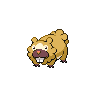 bidoof