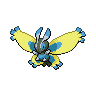 mothim