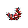 skorupi