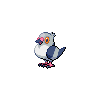 pidove