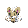 cinccino
